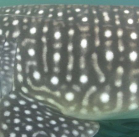 d14e096d-4be0-4a4f-a8d0-ee6015ba8f9f