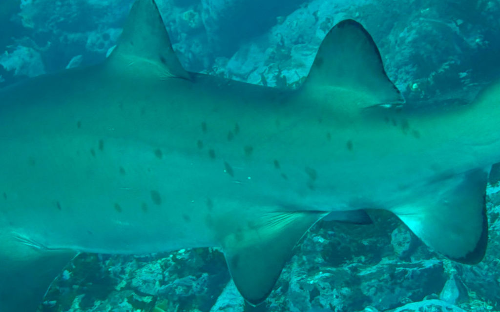 b76134eb-cd40-4150-b601-9d9a5445a540