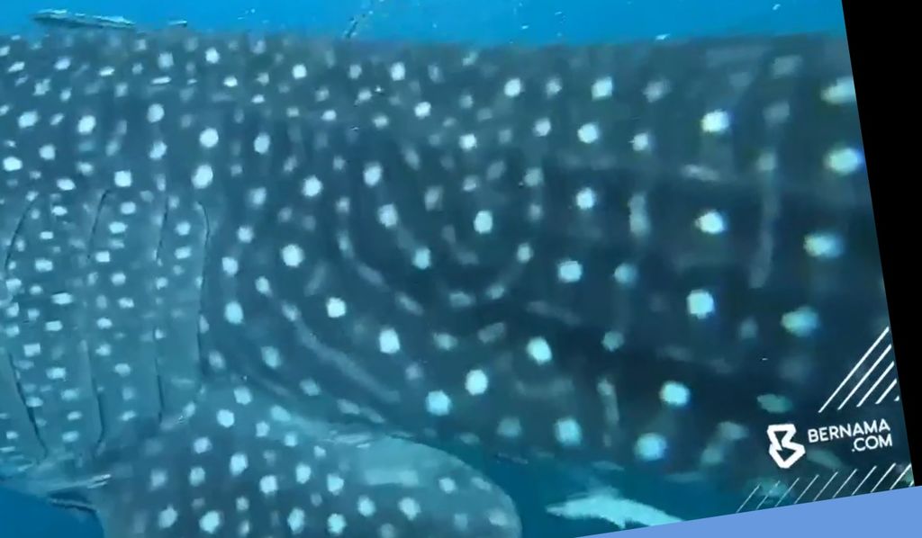 a4232039-0342-4c0c-8c15-43835872f202