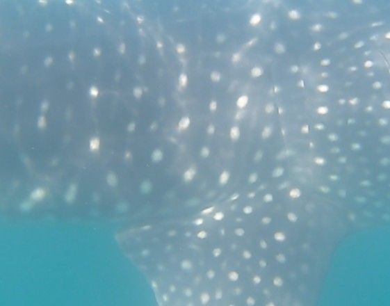 5c0c4d89-e148-4dd6-b456-fbed53b99c70