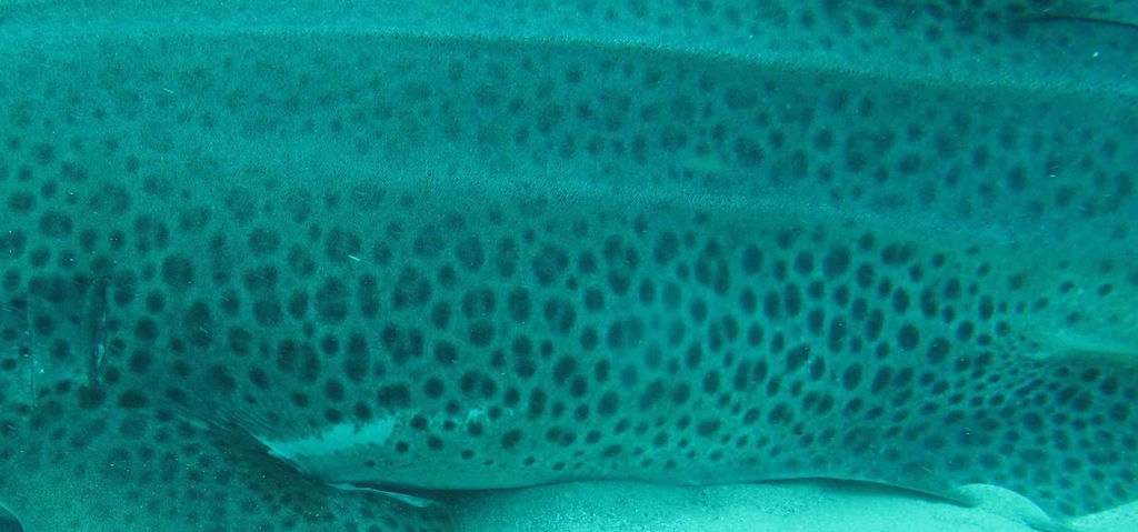 5756ae0d-e7fa-4efc-81a9-f6e62153d670