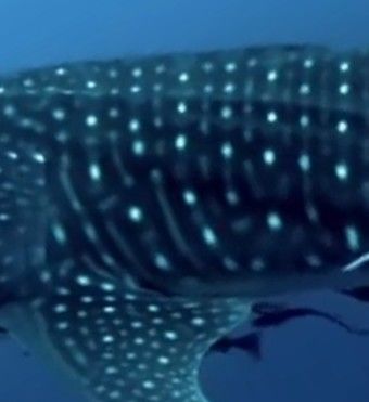 ed61fe27-bbc0-49f3-804b-3222ec0ecd70