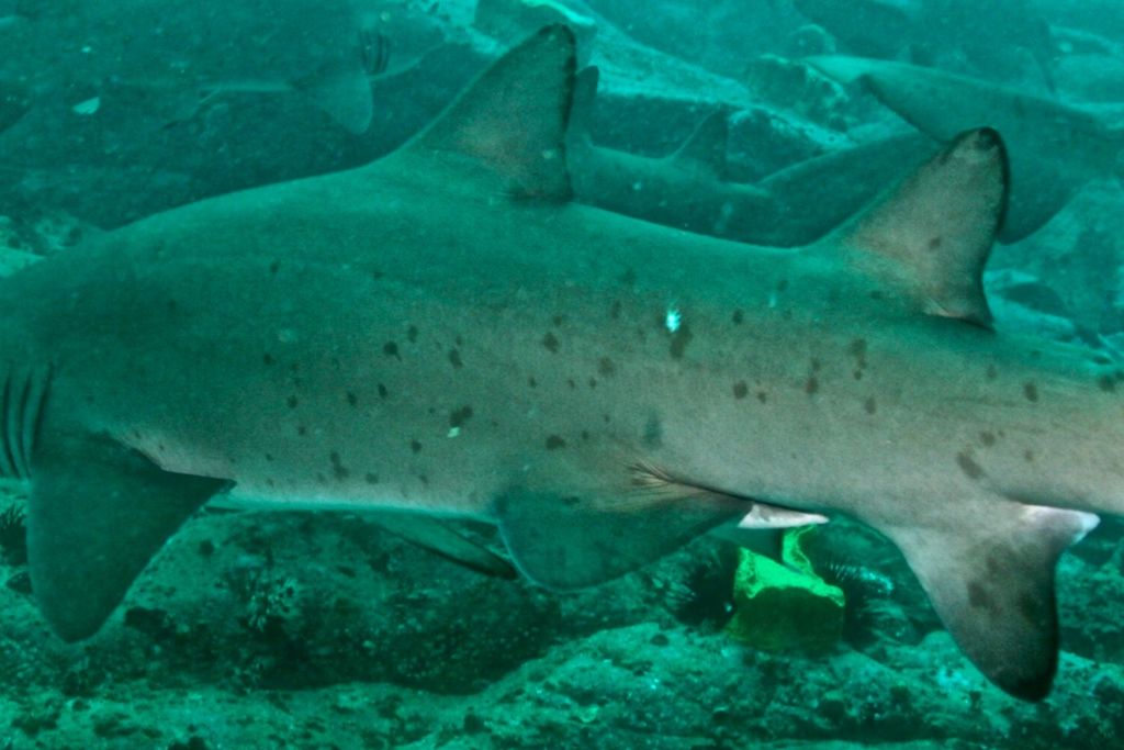 6885c86e-1cac-41fa-a280-8efd20e5d94d