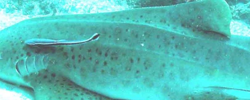 c81b33ea-6624-40f1-8f3f-bdb297cdc88c