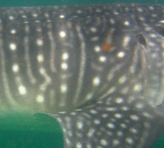 f5c70b60-d38f-4b32-8822-29dbedae690b