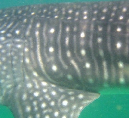 f5c70b60-d38f-4b32-8822-29dbedae690b