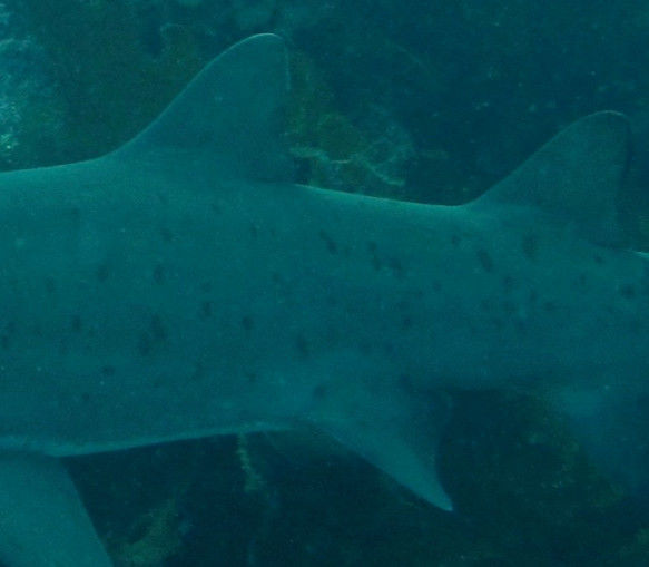 71a15306-36a0-4ac7-af63-293a29b8f450