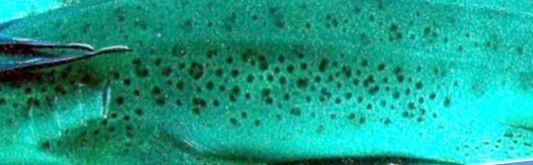 8fd8e6f3-9e25-4818-adf3-ee544e773268