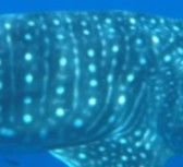 32f6d842-6f6a-4dd8-be98-cfe77e6aa66e