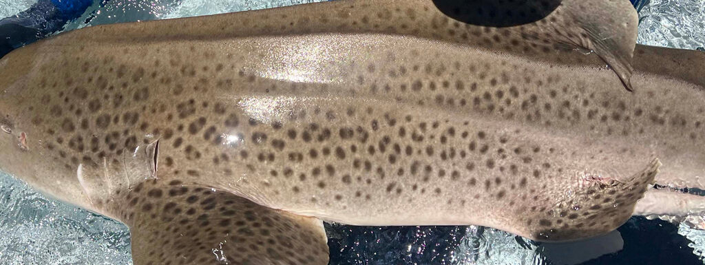 b5d582d6-13cf-4064-89eb-e15f2f05cf5d