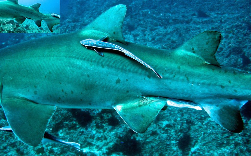 cbb88795-f0d4-4607-8fcc-f2b8d1d60258