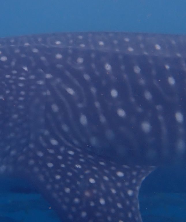 5d49e2c2-92f8-4eba-854e-fe18bd36ebb4