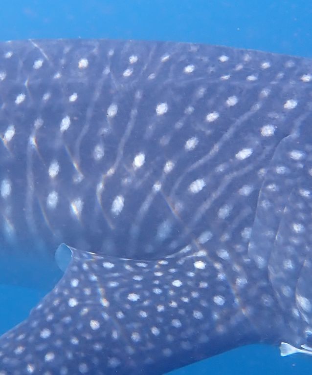 5d49e2c2-92f8-4eba-854e-fe18bd36ebb4