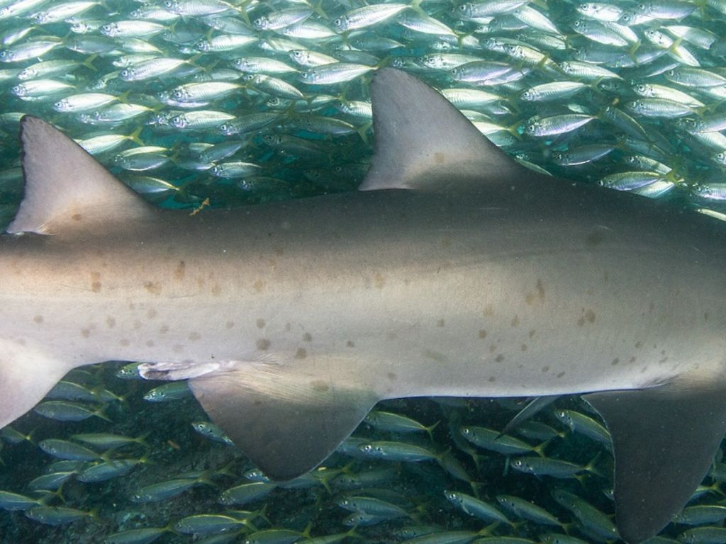 455c3b86-45a3-4291-be8e-02fc8ecf3cc4