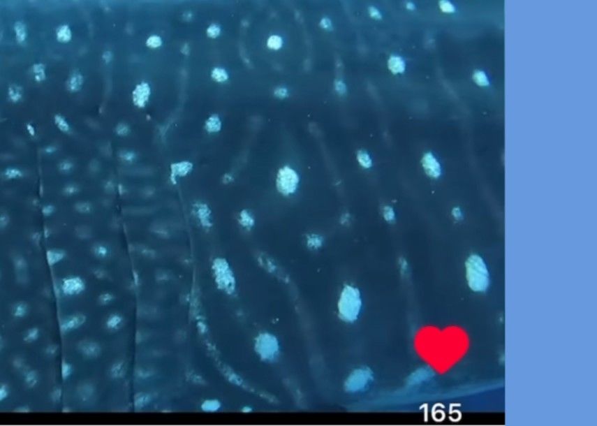 b44e3397-cdec-4fd1-8e5b-dd0ac5e98e56