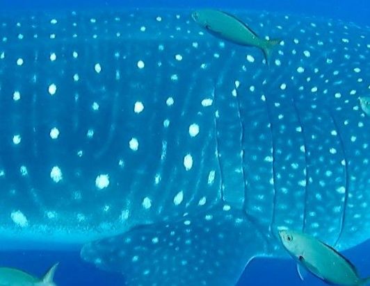 b44e3397-cdec-4fd1-8e5b-dd0ac5e98e56