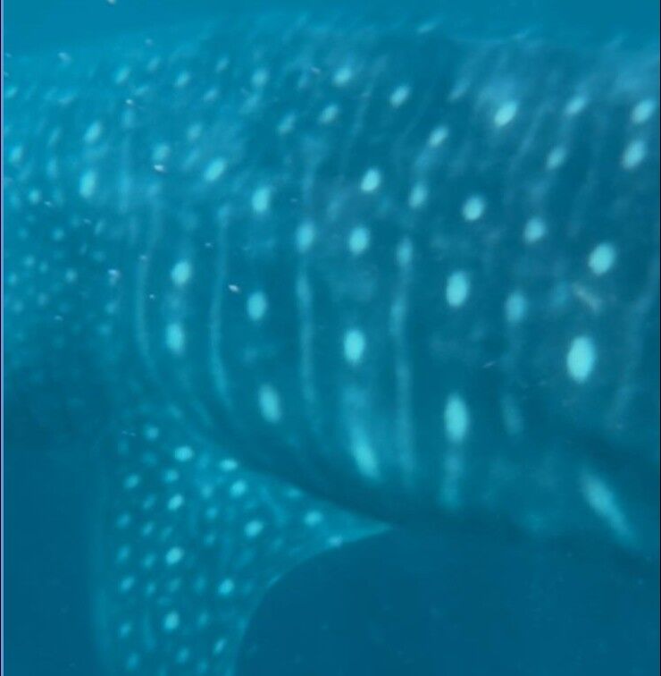 20b42ba3-5493-47e9-9acb-ff70a9cedcec