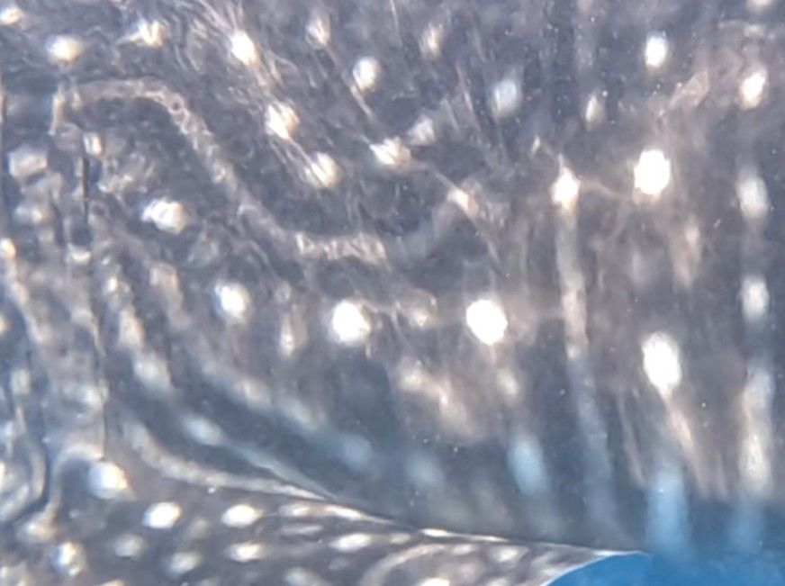 7340833a-ba7b-46b9-beb7-ca5fff1679c6