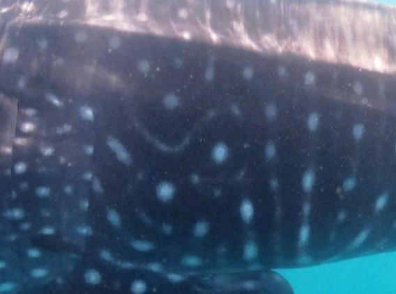 62e1c912-eff5-4a0a-99c9-6c865617eb94