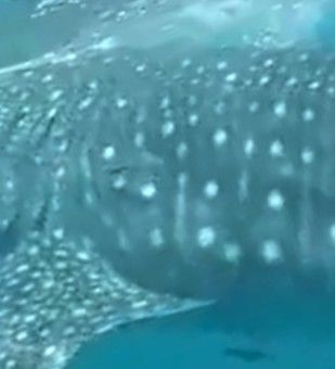 616fa333-d0e2-4b6f-9587-5e0871850fe3