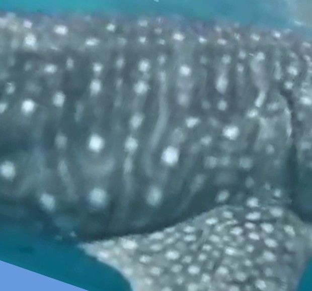 616fa333-d0e2-4b6f-9587-5e0871850fe3