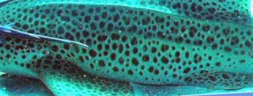 25d51442-7c8e-4f1c-9e84-6ea339ef0ca3