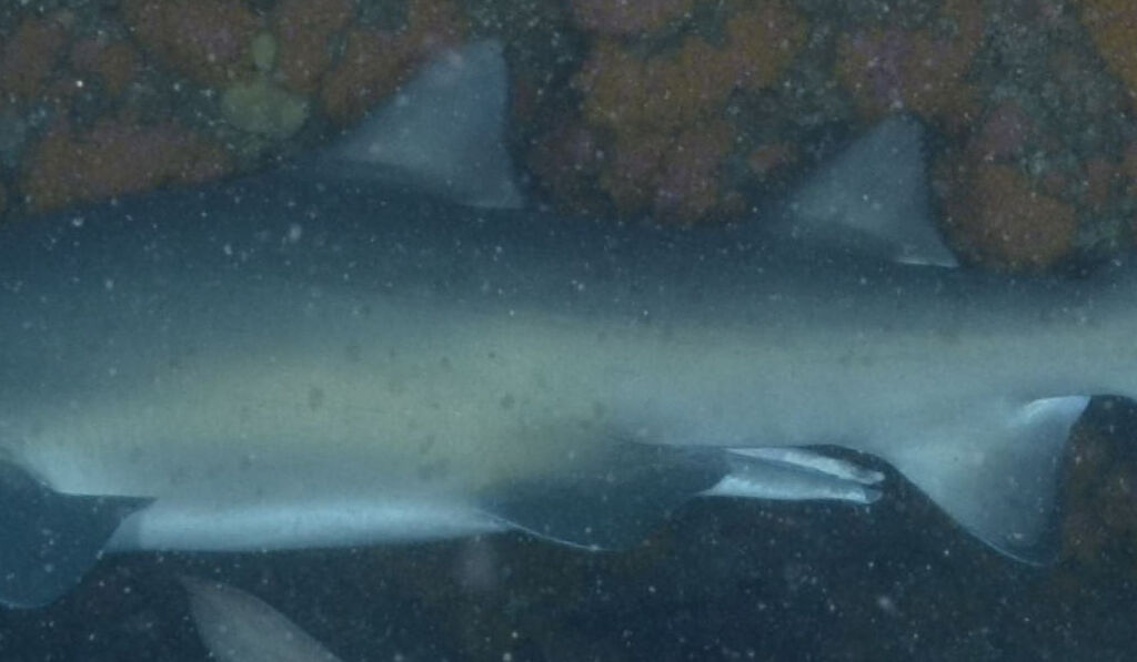 361656bd-69bf-44c5-bd4d-2a5a57c5529c