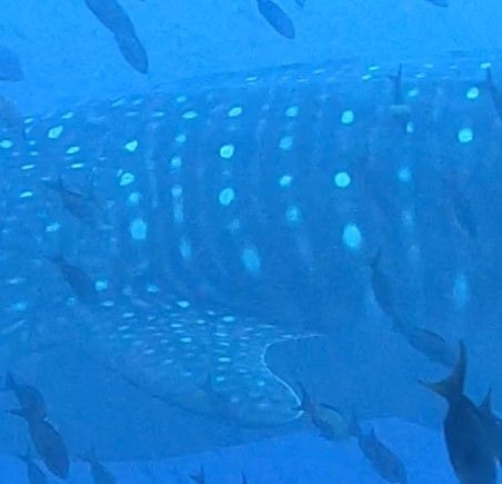 4fb6a8c0-c771-43fc-8e3a-e3f18a009790