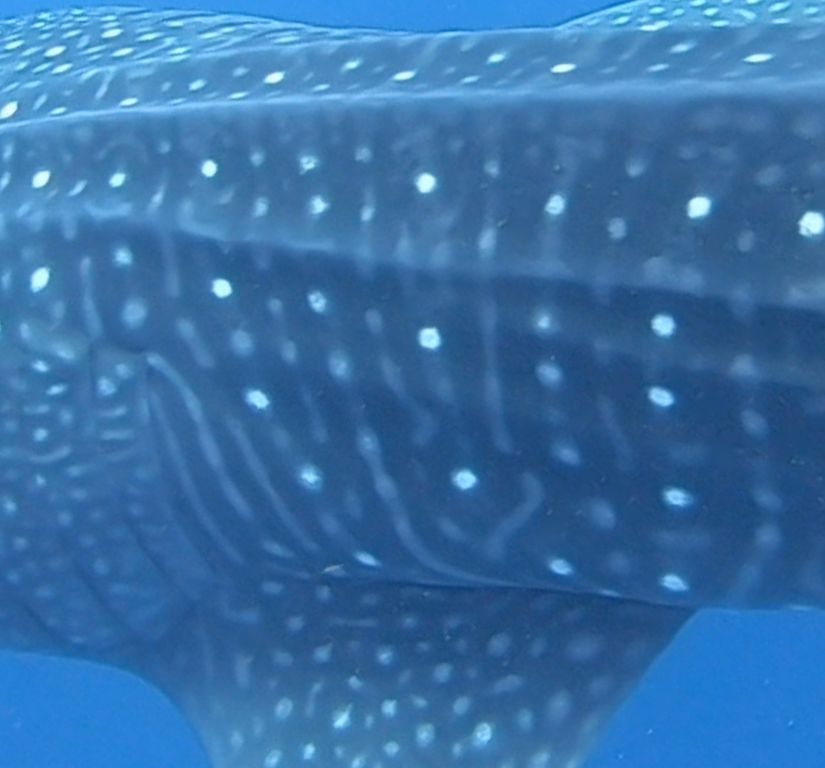 5b915537-611d-4e1c-b868-59931412553f