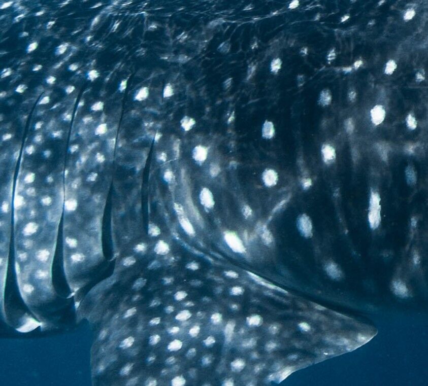 7c8896d6-6902-4674-8b60-31eeae6d0b0e