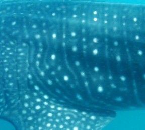 ed5912d3-57f8-4944-a0f2-3a1d1dca75d1