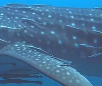 8705dce1-8dc7-4759-87e9-41fe66b567c3