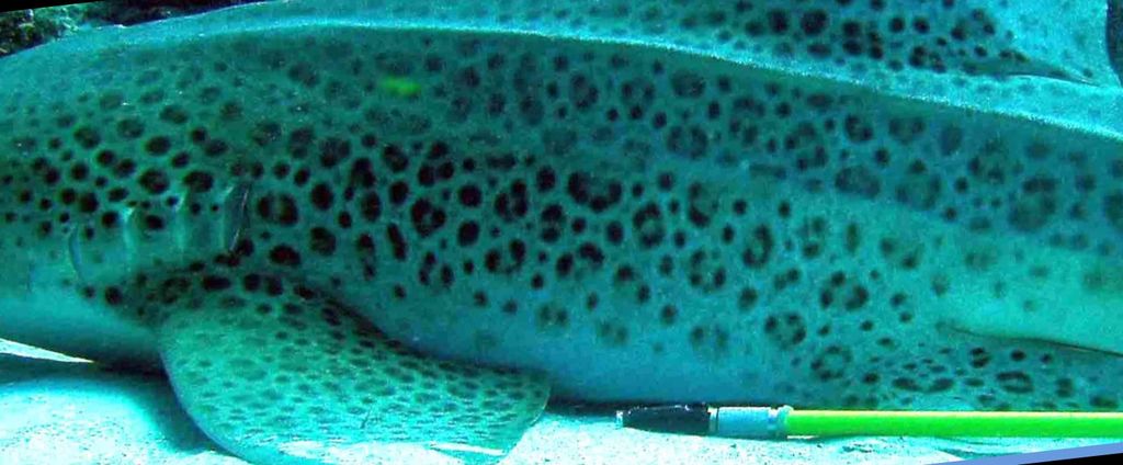 1757b7f8-37d6-481e-a506-9b61307b5044