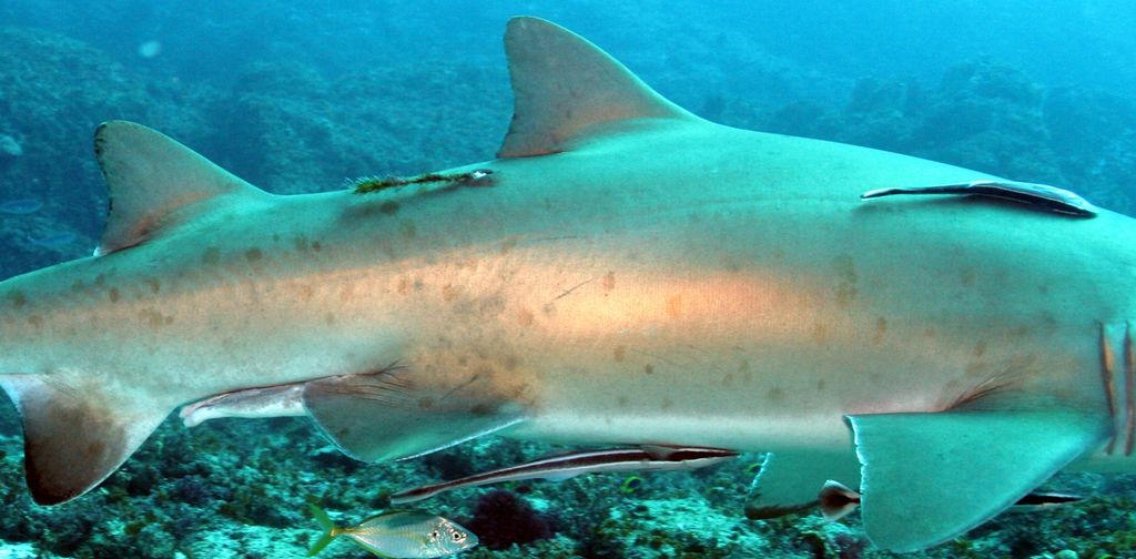 7572d2d2-4971-489d-9eb7-4b42b644f6e3