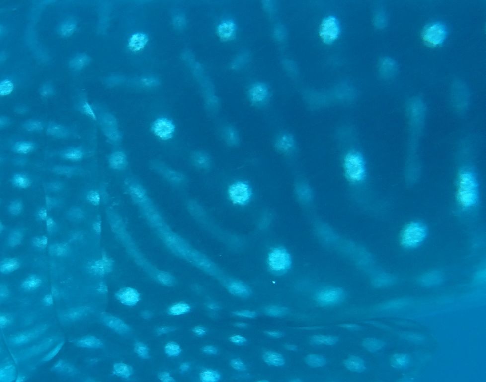 08d91695-4852-4627-aa60-e21a9f016794