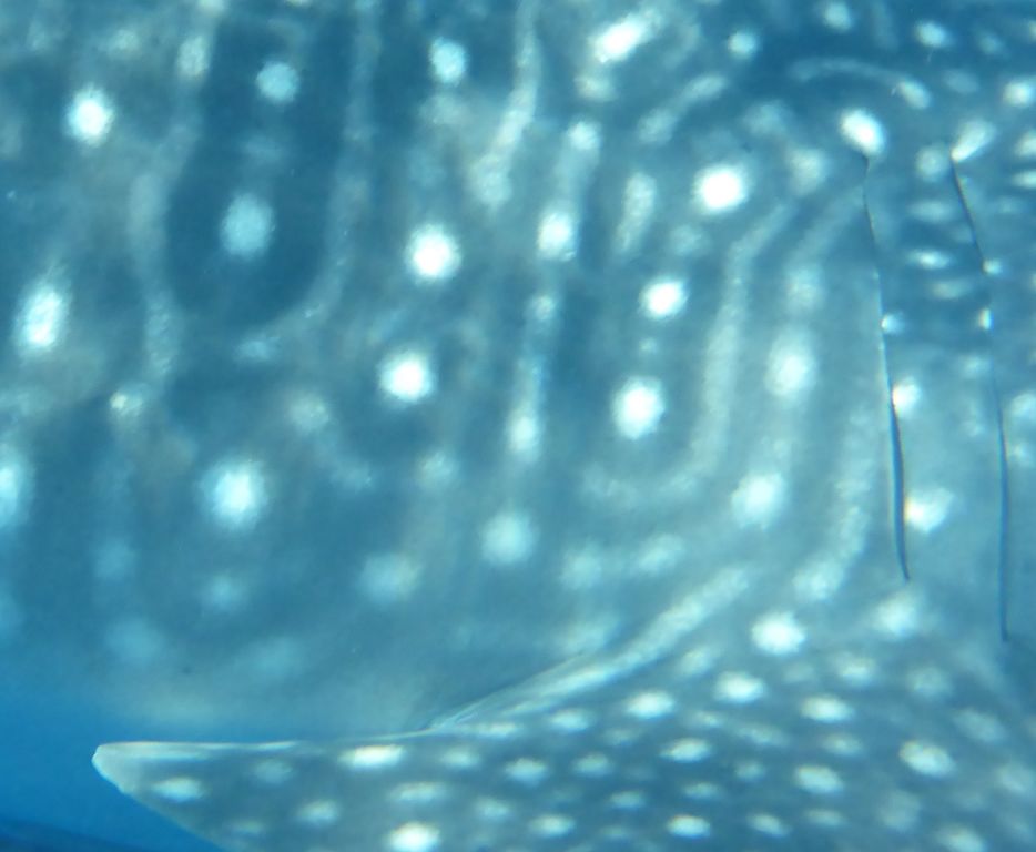 c42ff0e1-ed8e-4454-92a9-56ac0a4055e0