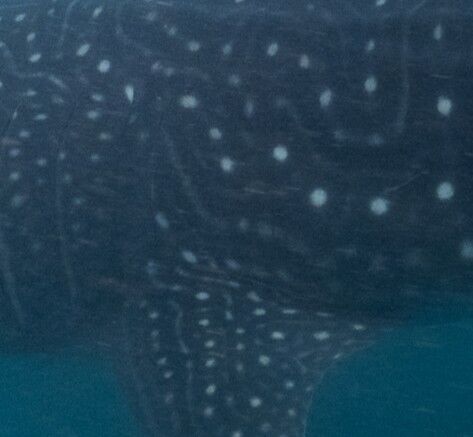 6445cf7e-f38d-4e3b-80f7-ac48ba4a2f74