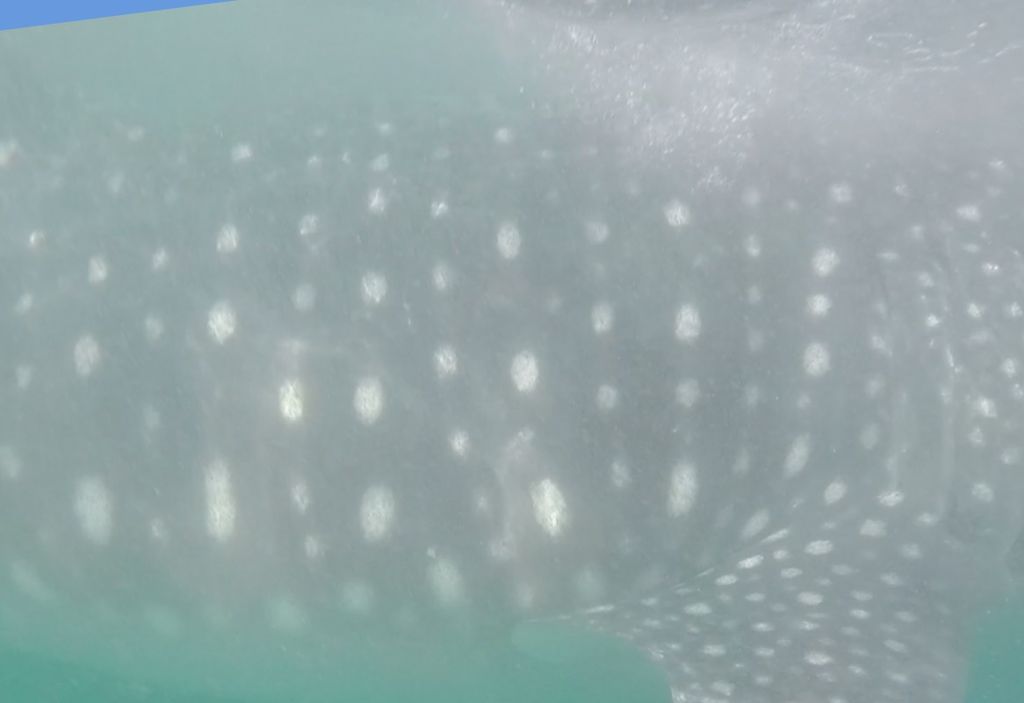 3e34d02a-2c45-4301-984b-29c1ecaf7bdc