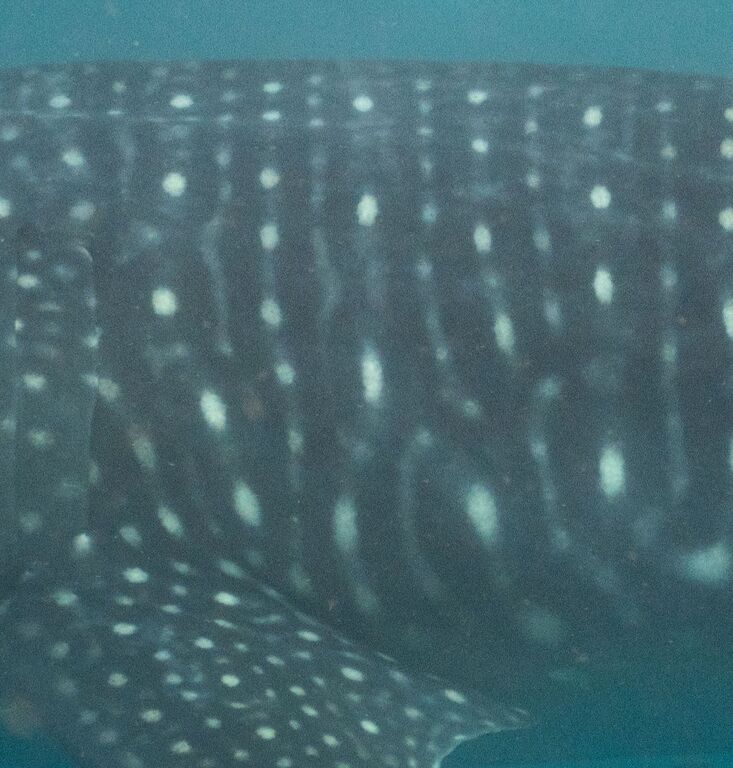 20d45945-1e97-4157-8029-8a5154878ebc