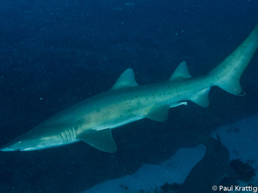 8bfdb217-5a8a-4108-a325-a071f6cca53d