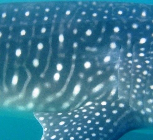 5283a79e-e404-4b7d-baa9-2a8e50bea2db