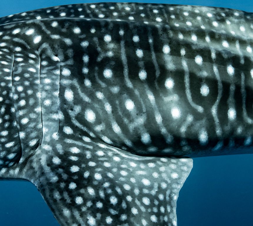 3cc71000-19bb-4052-a182-f4465f87e05c