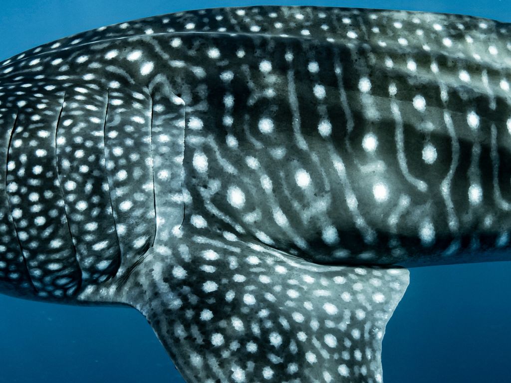 3cc71000-19bb-4052-a182-f4465f87e05c