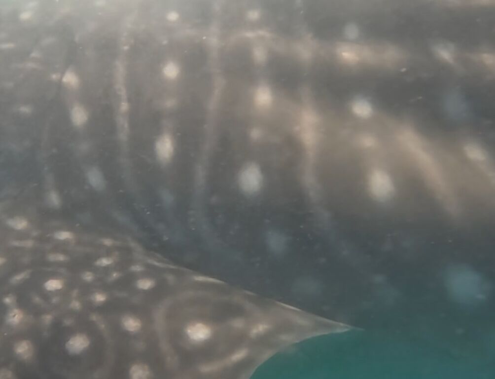 8023dbf5-9817-4f6d-845b-8809a2a06357