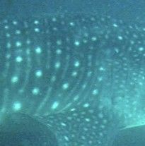 d49bfc4e-37ca-47f7-951a-42db46873431