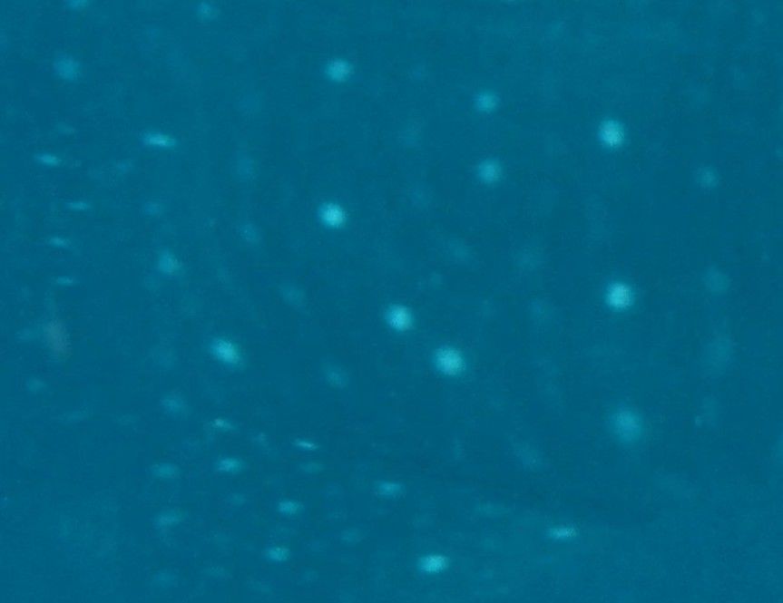 8e0cf8c2-0c52-425c-bb72-453f276a9d82