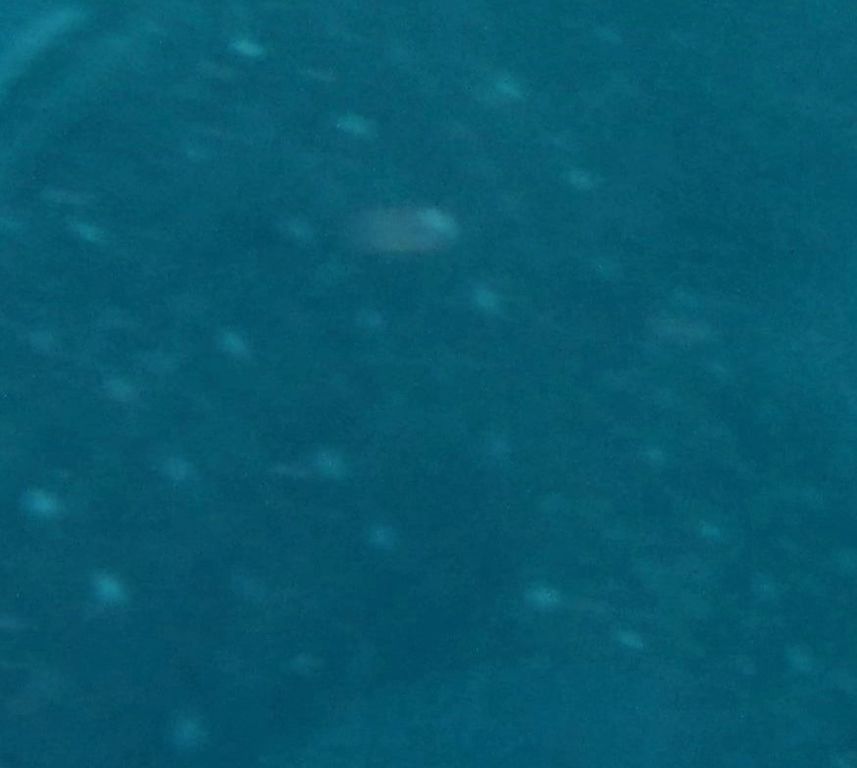 8e0cf8c2-0c52-425c-bb72-453f276a9d82