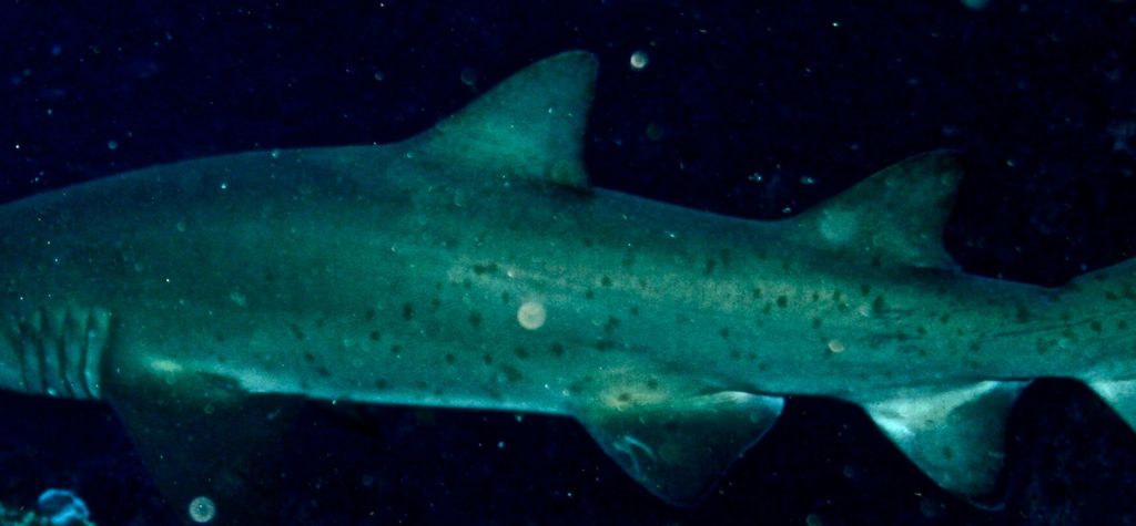 86a7550c-610a-4704-b6fa-4447d69d2908