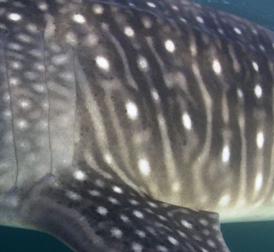 8598669b-b827-4aba-a8cb-593ebcbe19dd