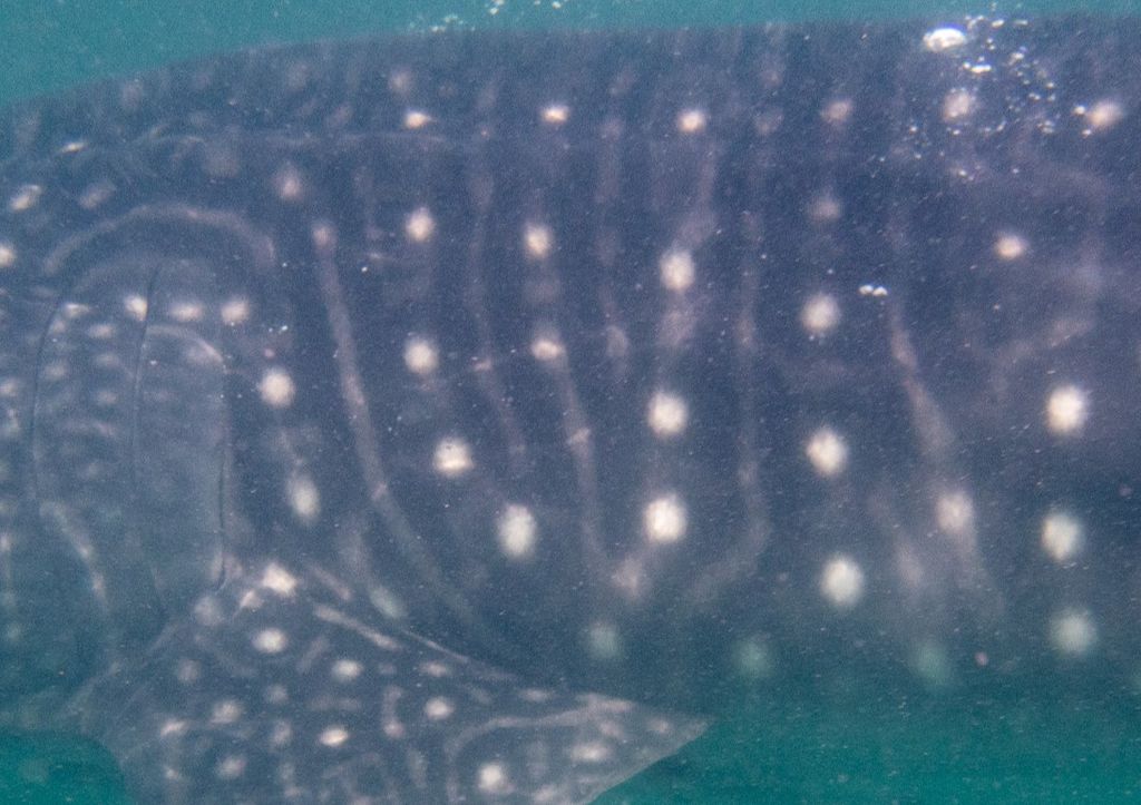 27409874-e2eb-4b5e-ae02-5ba57bddc855